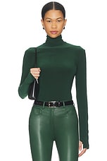 Slim Fit Long Sleeve Turtle Top - thumbnail 4