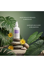 Miracle Base Beauty Oil - thumbnail 6