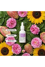 Desert Rose Anti-Aging Oil - thumbnail 5
