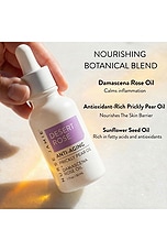 Desert Rose Anti-Aging Oil - thumbnail 9