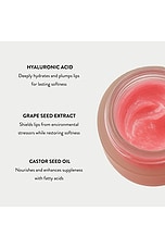 Rose All Night Lip Mask & Exfoliating Lip Brush - thumbnail 8
