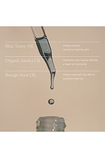 Ritual Oil - thumbnail 8