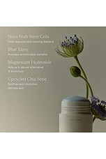 Microbiome Balancing Deodorant - thumbnail 8