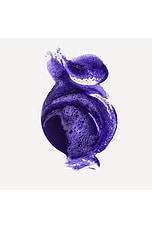 No.4P Purple Toning Shampoo 250ml - thumbnail 5