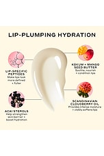 Pout Preserve Peptide Lip Treatment - thumbnail 7