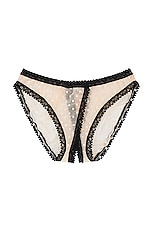 Coucou Lola Culotte Panty - thumbnail 4