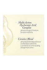 Hair Alchemy Shampoo Liter - thumbnail 6
