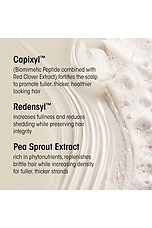 Serene Scalp Densifying Shampoo - thumbnail 7