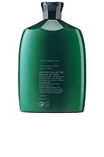 Eternal Curls Moisturizing Shampoo - thumbnail 5