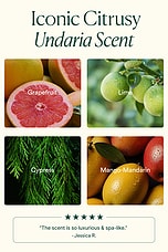 Undaria Algae Body Butter - thumbnail 9