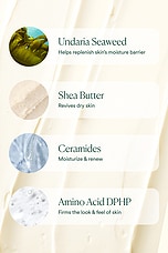 Undaria Algae Body Butter - thumbnail 10