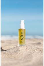 Dayglow Face Oil - thumbnail 7