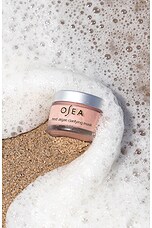 Red Algae Clarifying Mask - thumbnail 7
