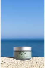 Seaglow Resurfacing Facial Scrub - thumbnail 9