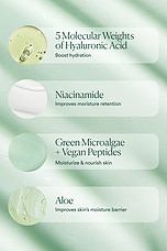 Hyaluronic Body Serum - thumbnail 9