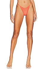 Product image of Ostra Brasil Triangle Fixed Strap Bikini Bottom. Click to view full details