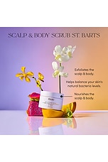 Travel St Barts Scalp And Body Scrub - thumbnail 5