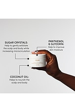 Travel St Barts Scalp And Body Scrub - thumbnail 6