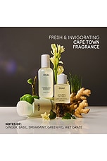 Thickening Spray - thumbnail 9
