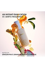 Travel Size Leave In Conditioner - thumbnail 8