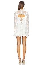 Nori Corset Mini Dress - thumbnail 8