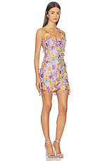 Tulle Pina Embroidered Mini Dress - thumbnail 5