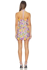 Tulle Pina Embroidered Mini Dress - thumbnail 6