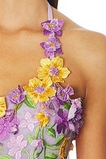 Tulle Pina Embroidered Mini Dress - thumbnail 7