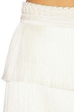 Amethyst Fringe Skirt - thumbnail 9