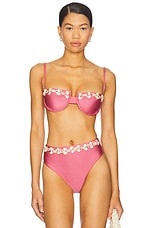 Seashell Lycra Embroidered Bikini Top
