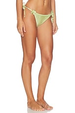 Petal Bikini Bottom - thumbnail 5