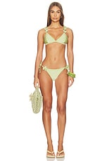Petal Bikini Bottom - thumbnail 7