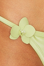 Petal Bikini Bottom - thumbnail 8