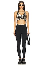 Vita Sports Bra - thumbnail 7