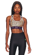 Product image of P.E Nation Del mar Sports Bra. Click to view full details