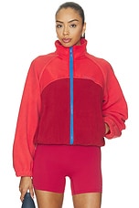 Alumni Jacket - thumbnail 4