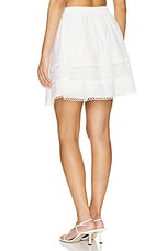 Celeste Panel Mini Skirt