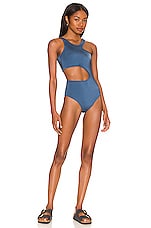 Product image of PEIXOTO Skye One Piece. Click to view full details
