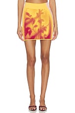 Alani Window Print Mini Skirt - thumbnail 4