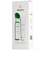 Peppermint Avocado Scalp Invigorating Kit - thumbnail 5