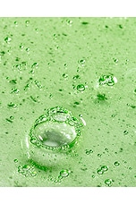 Peppermint Avocado Shampoo - thumbnail 7