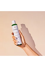 Peppermint Avocado Shampoo - thumbnail 9