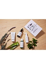 4 Step Discovery Kit - thumbnail 9