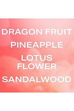 Dragon Fruit Hair And Body Mist 8oz - thumbnail 6