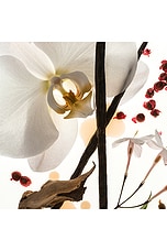 Vanilla Skin Eau De Parfum 50ml - thumbnail 7