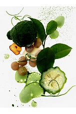 Matcha Milk Hair And Body Mist 8oz - thumbnail 6