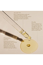 Belly Spa Kit - thumbnail 9