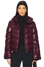 Polar Ski Jacket