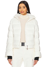 Polar Ski Jacket