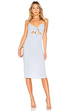 Privacy Please Hibiscus Midi in Blue Stripe